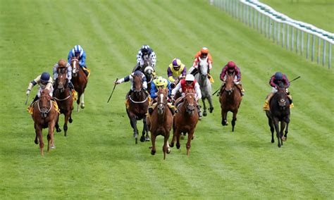 Timeform's Tote Placepot: Tips and best bets for Saturday at .